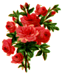 Roses To You